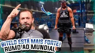 FOR&Ccedil;A BRUTA! BITELO PUXA 390KG NA PREPARA&Ccedil;&Atilde;O E SARDINHA REAGE