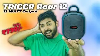 TRIGGR Roar 12 Wireless Speaker | 12 Watt Output | FM Radio & Hands-Free Calling
