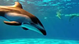 カマバッカ王国 ディアナママとフィン君
