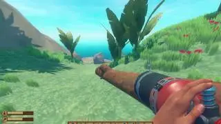 Raft Game - Catching a Clucker