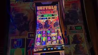 Buffalo Link bonus, bonus, bonus & ReTRIGGERS Firenze Casino Carnival Cruise #casinobonusviews 