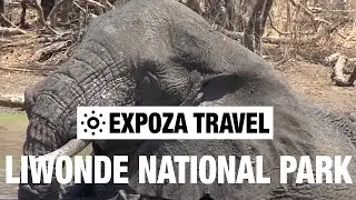 Liwonde National Park (Malawi) Vacation Travel Video Guide