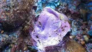 После извержения вулкана появилась розовая алмазная руда, сапфир. Ювелирные изделия