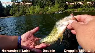 Short Clip #236 (Double Up) (Crappie) (Blue Gill)