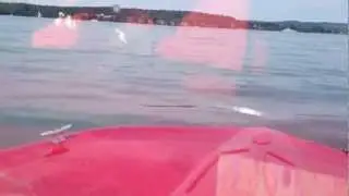 Hille Cameo auf dem Bodensee #1