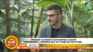 Kakve tajne krije Jevremovac - spomenik kulture