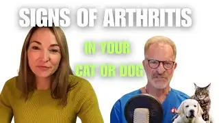 Arthritis Starts In Puppies, Not Seniors
