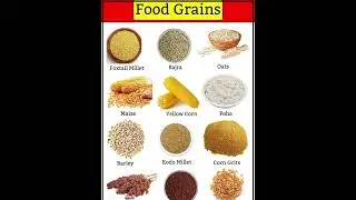Types of Food Grains-मोटे अनाज कौन कौन से होते है-Food Grains #foodgrain #grains #wholegrains