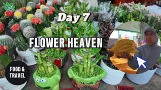 I Visited Asia's LARGEST Flower Market! 🌸Kunming to Nanning Day 7