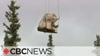Tree planting project aims to restore caribou habitat in N.W.T.&rsquo;s Tłı̨chǫ region
