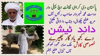Dand Teeshan De Yadgar Phere | Karah Thall Pakistan | داند ٹیشن دے یادگار پھیرے | کراہ تھل پاکستان