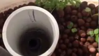 Emergency fresh food supply