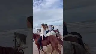 Horse riding bareback by a beautiful 5 ladies on sea beach #horseriding #shorts #bareback
