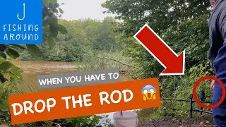 When you have to DROP the rod 😱 | Fishing Around