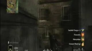 Pyrotoz COD5 Random Moment 3 - Trapped By Friendly Tanks