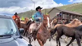 HORSE DRIVE, GARDINER MONTANA