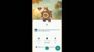 Remote Raid Boss Checking