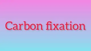 What is Carbon fixation?