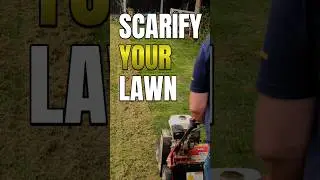 What's the best tool to collect #thatch after #scarifying