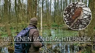 #45 - DE VENEN VAN DE ACHTERHOEK