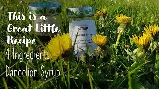 How to Make Dandelion Syrup with Only 4 Ingredients