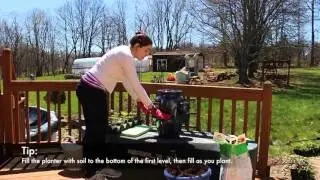 How to fill a Strawberry Planter