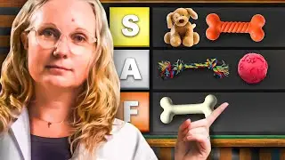 Top 10 Dog Toys Reviewed By Expert Veterinarian (Makes Dog Smarter?)