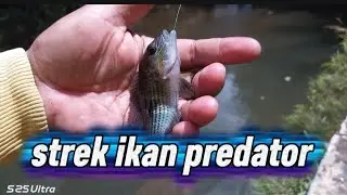 Perjuangan mencari spot nilem ...!!!#mancingceria #fishing #nedipalod channel 