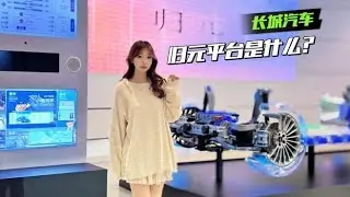 长城“归元平台”是什么来头？,汽车,新能源