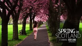 Spring in Scotland - Stunning Scotland Series Episode #1