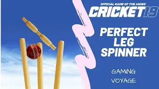 Cricket 19 - Perfect leg spinner