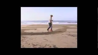 Jim Denevan - Land Artist