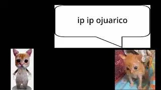 Battle of the skrunkl and el gato (TW: EMOTIONAL) 😭😭 (ORIGINAL HI HI HI)