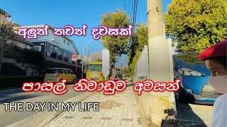 Morning Routine | Mom&rsquo;s Meal Prep & Kids Off to School/තවත් ලස්සන දවසක් 🩷🥗⚡️📚💕