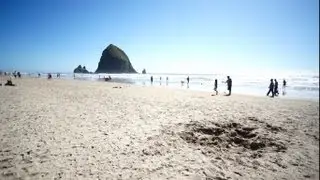 Cannon Beach Visual Vibes