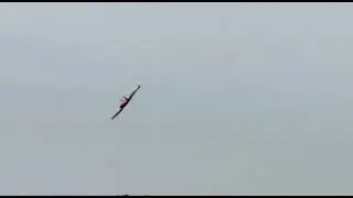 Mikado Logo 550SX gentle 3D flying