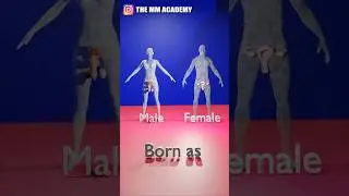 How Transgenders are born? | किन्नर कैसे पैदा होते है । #shorts