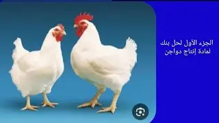 الجزء الاول لحل بنك ماده انتاج دواجن