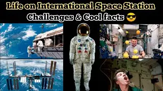 Life on the International Space Station (ISS)🛰️: Challenges & Cool Facts! &zwj; 😎