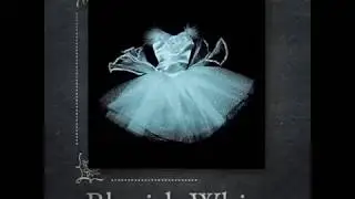 VINTAGE BARBIE ART BALLERINA DANCER Luxury Metallic Photography Series VINTAGE 1990s