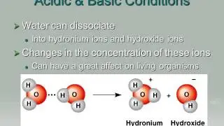 Chapter 3 Water and Life
