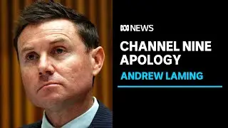Nine apologises to Andrew Laming in defamation case | ABC News