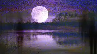 Creeping Pink ~ Shadow People Don&rsquo;t Care