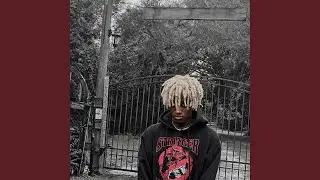 Wonderland