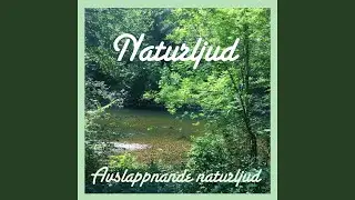 Avslappnande &aring;skljud
