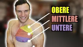 Das beste Brust Workout f&uuml;r das Gym | Trainingsplan f&uuml;r eine massive Brust