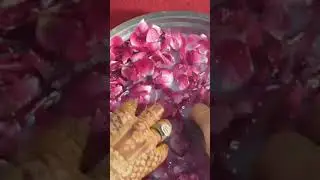 Indian Wedding Game &ndash; Finding the Ring Challenge 💍
