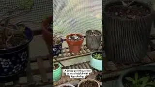 Sekey mini greenhouse in your garden! #gardening #plants #ideas