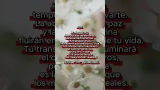&iquest;Por qu&eacute; el 11:11 puede cambiar tu vida?