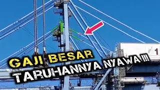 Pelabuhan Sorong, Papua barat